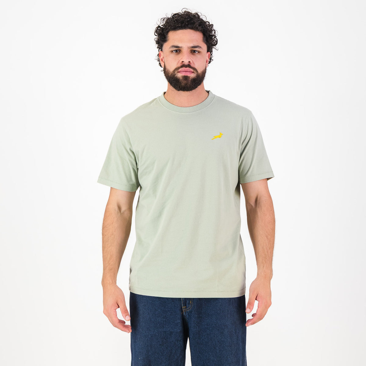 Springboks SML Bok HS Regular Crew Tee - Desert Sage - Old School